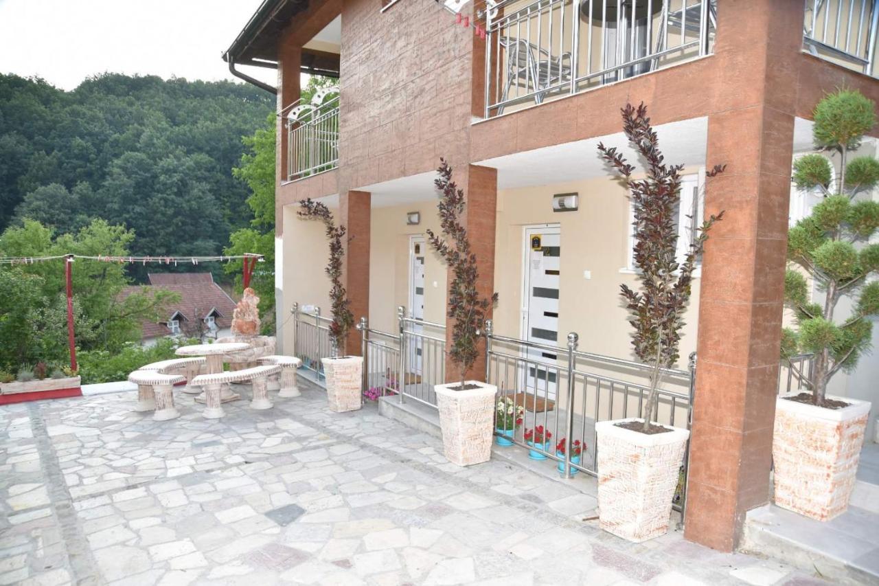 Vila Lux Nedeljkovic Gornja Trepca Cacak Exterior photo